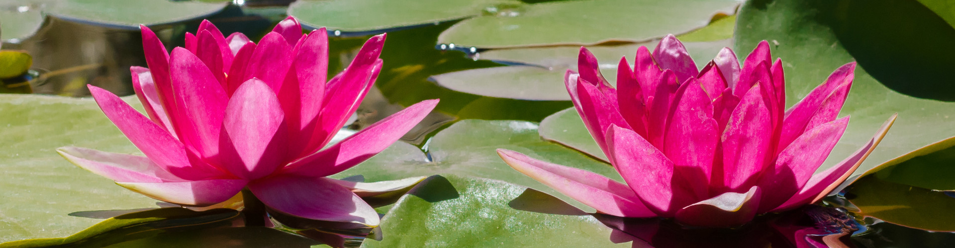 Bed & Breakfast La Bella Ninfa